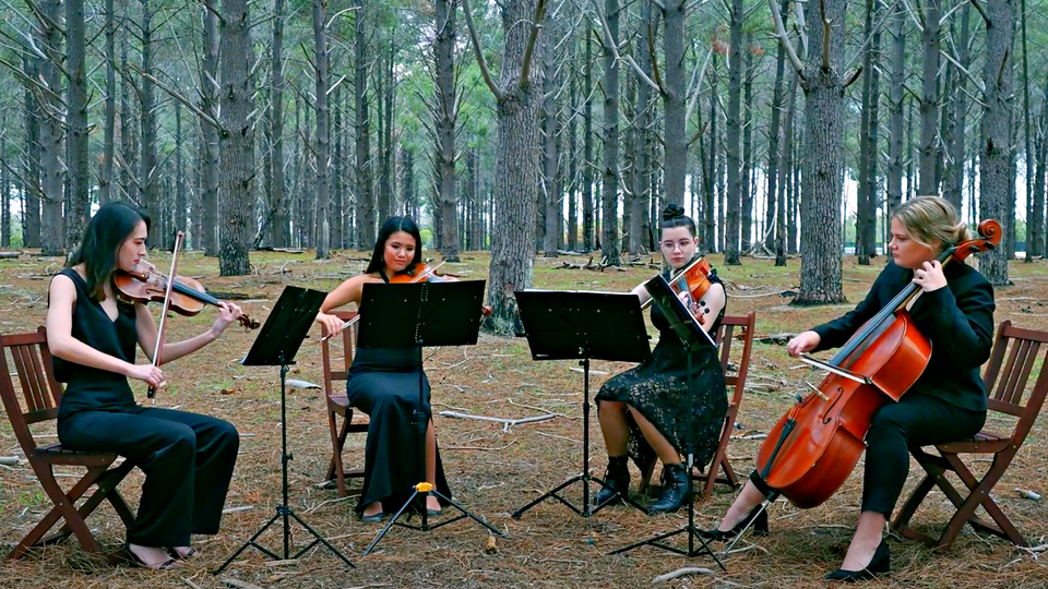 Can't Help Falling in Love - Elvis Presley (String Quartet)